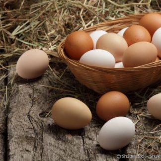Pack de Ovos de galinha
